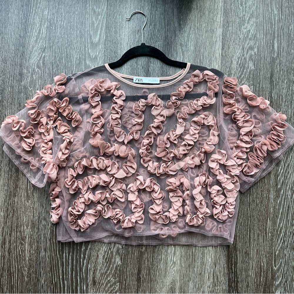 Zara Blush Ruffle Mesh Crop Top